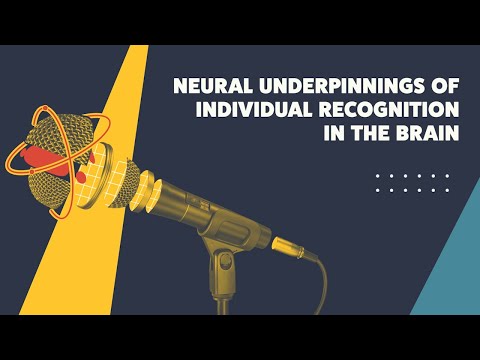 Neural Underpinnings of Individual Recognition in the Brain