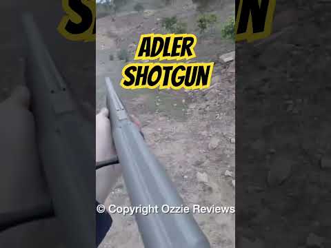 Adler Shotgun #ozziereviews #adler #shotgun #12gauge #shooting #gun #firearms #viralshorts