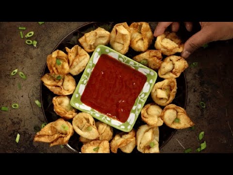 Chicken and Shrimp Fried Wontons