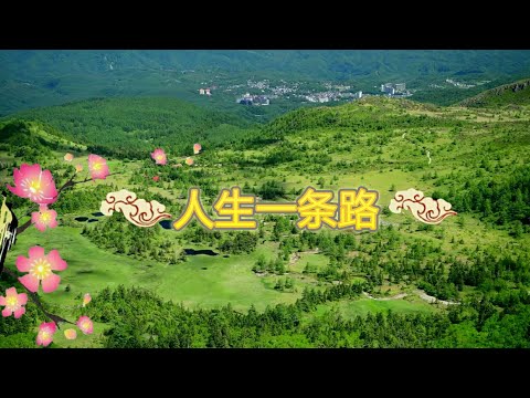 人生一条路(人生の道)🎵一首勉励人生的长青歌曲由林淑容深情演唱