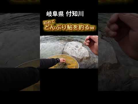 岐阜県 付知川でどんぶり鮎を釣るw