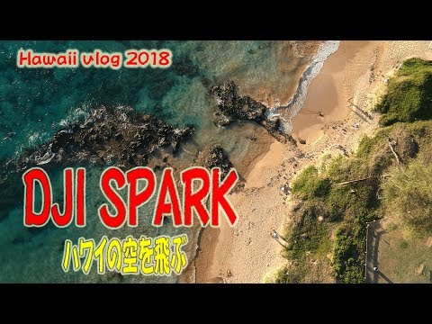 ハワイ旅行でドローン空撮【DJI SPARK】