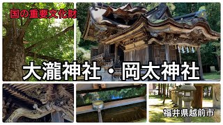 【大瀧神社・岡太神社】国の重要文化財にも指定されている大瀧神社・岡太神社へ行ってきた。