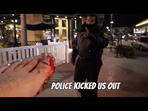 THIS STUNT GOT US KICKED OUT OF THE MALL (police called) | vlog