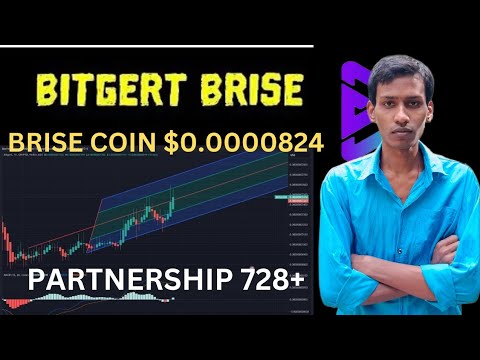 BRISE Coin Partnership 728 | Bitgert Supply Burn | BRISE Coin $0.0000824 | Binance Listing