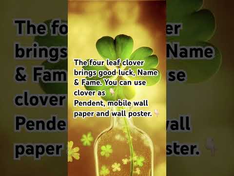 Name , Fame & Luck.     #clover #name #fame #luck #luckycharm