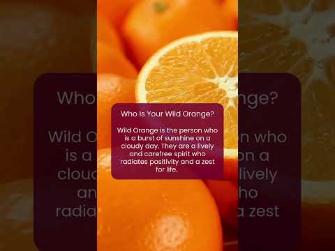 Who Is Your Wild Orange?