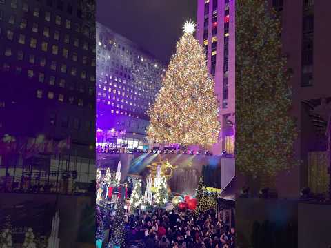 Lighting Up the Rockefeller Center Christmas Tree of 2024 🥰🎄