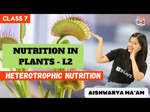 Nutrition in Plants L2 | Heterotrophic Nutrition | Class 7 | Science | Chapter  1 | Aishwarya ma'am