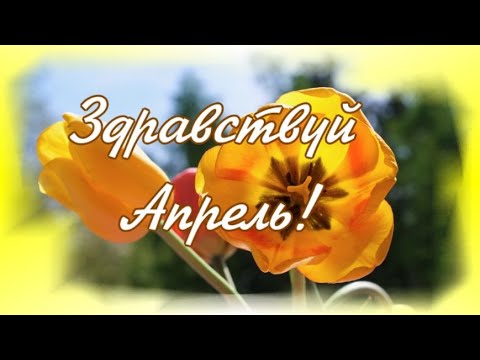 🌺Здравствуй Апрель!Добро пожаловать!Солнышка всем и мира!