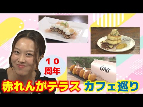 赤れんがテラスが１０周年！高橋まりもがカフェ巡り