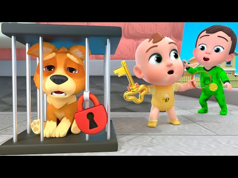 Bingo Pet Store +More Little LaLa's Nursery Rhymes & Kids Songs