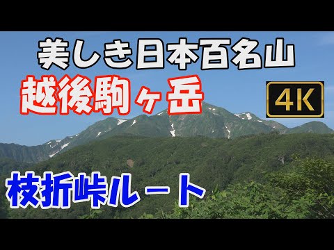 越後駒ヶ岳  美しき日本百名山。枝折峠ルート。日帰り。大絶景の雲海の滝、大展望の山頂へ。Mt.Echigokomagatake.ver.2