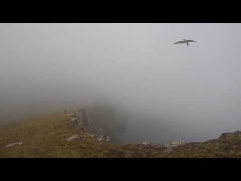 The Cliffs of Hirta... Get as close to the edge as you dare!