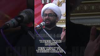 Best Reply to Yazeedi Maulah by Allama Kumail Mehadi #yazedi