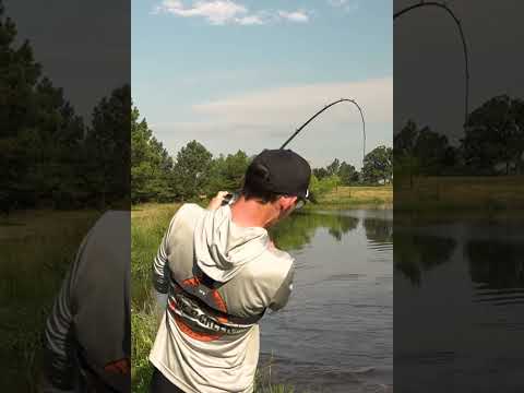 Giant Bass on a Topwater Frog! (Booyah Pad Crasher Jr.)