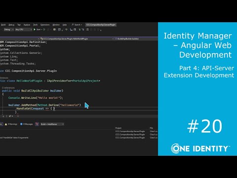 Identity Manager | Angular Web Development #20 | API Server Extension Dev