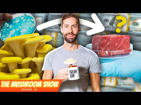 The Mushroom Technology That's Attracting MILLIONS Of Investment Dollars (TMS Episode 30)