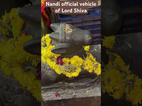 Nandi official vehicle of Lord Shiva