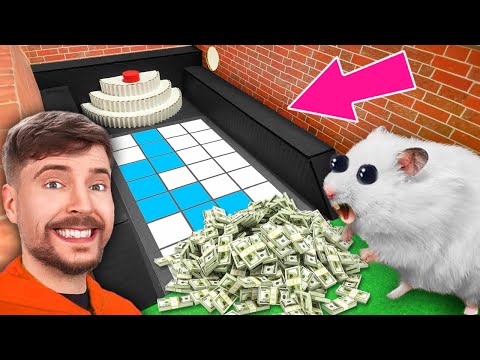 Hamster Escapes the MrBeast Deadliest Obstacle Course! DIY Hamster Maze