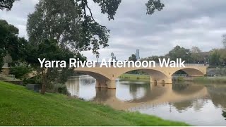 (270) Yarra River Afternoon Walk 墨爾本下午河邊散步