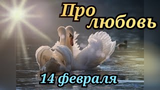 14 февраля День влюблённых! ПРО ЛЮБОВЬ! СТИХиЯ