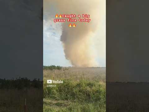 🔥🔥Large Multi Alarm Grass Fire 🔥🔥 #shortsvideo #fire #firefighter