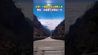 近日山东泰安，小姐姐爬泰山俯瞰云海，网友：太震撼了好想去一次#shorts