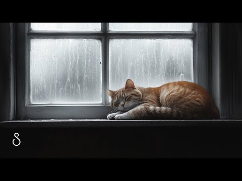 Sleeping Cat Purr & Rain On Window💧Black Screen | 12 Hours | Sleep In Series