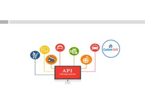 CustomSoft API Development and Integration