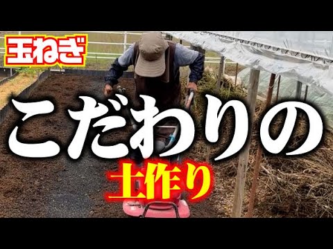 【おいしい玉ねぎが出来そうな予感♥】【3回でも4回でも耕します】大雑把な所もあるのがひろちゃん流【玉ねぎ】【ソニック】【土作り】