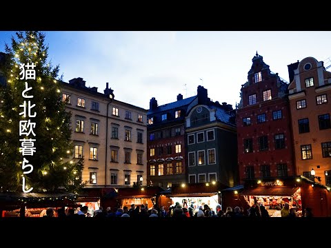 Scandinavian life 🎄 Sleeper train trip to Stockholm / Christmas market in Gamla Stan.