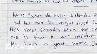 Dog found tied up near shelter with heartbreaking note finds forever home