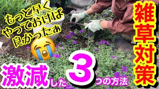 【雑草対策】私が実際にやって、雑草対策が超楽になった3つの方法😊/ 放っておいてOKな対策あり♪/ 雑草は抜きません🤭/ 防草シートの活用法が凄いっ‼️/ 雑草の特性を知れ💪【ガーデニング】