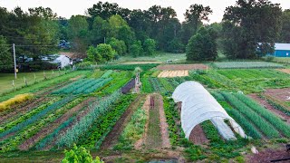 How to Start a Small Farm | A Step-by-Step Guide