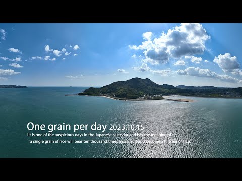 One grain per day 2023.10.15