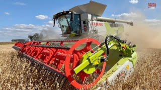 CLAAS TRION 740 Combine Harvesting