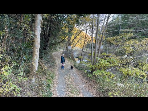 🚶‍♂️ The Land Beyond Our Home in Yada, Japan - Walking in Japan