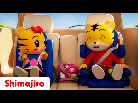 Vehicles & Traffic Adventures! 🚗🚦 | Road Safety Songs with Shimajiro | Nursery Rhymes for Kids 🎶