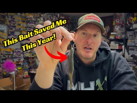 I Caught More Bass On This Bait Than Anything Else This Year!