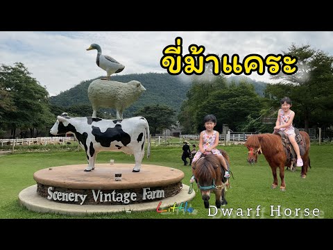 #The Scenery Vintage Farm #ราชบุรี