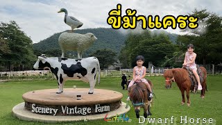 #The Scenery Vintage Farm #ราชบุรี