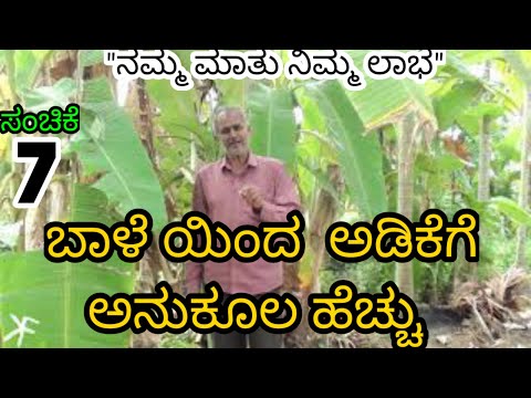 ಬಾಳೆಯಿಂದ  ಅಡಿಕೆಗೆ ಅನುಕೂಲ ಹೆಚ್ಚು || ಸಂಚಿಕೆ 7||