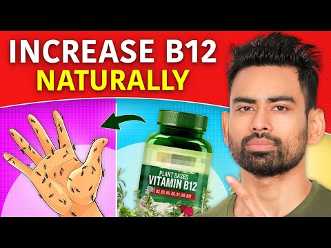 Increase Vitamin B12 Naturally (Symptoms, Best Foods, Natural Supplements)