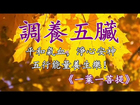 五音療疾丨平和氣血，淨心安神；五行能量養生樂《一葉一菩提》！