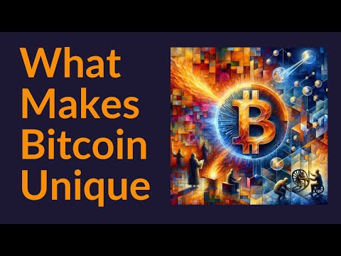 What Makes Bitcoin Unique