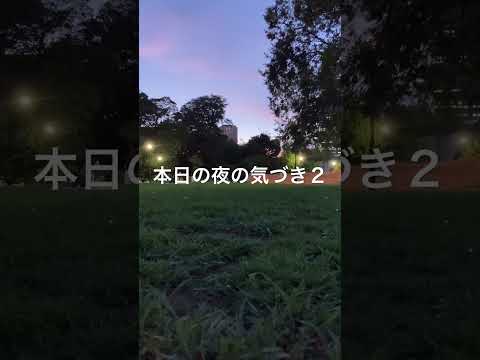 本日の夜の気づき２/ヒトの体は〜200日で細胞総入れ替わりし靭帯損傷ケアに幹細胞注射で4〜６ヶ月要するとのこと。以上