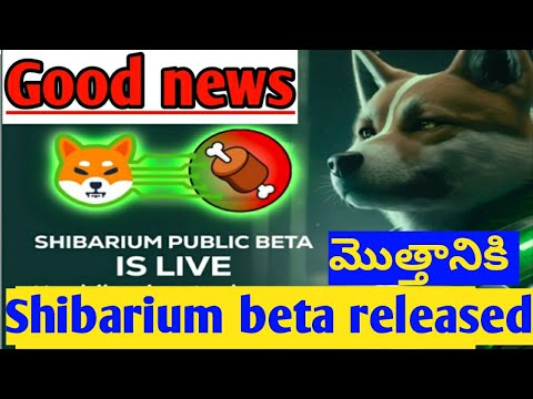 Shiba Inu (SHIB) Big News!!🔥 Shibarium beta test is live / crypto latest updates