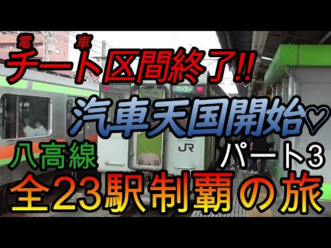 【全駅制覇シリーズ】八高線の全23駅制覇を目指してみた　パート3(鉄道旅行)