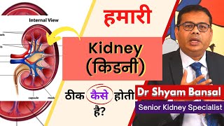 Treatment of kidney disease | गुर्दे की बीमारी का इलाज | Dr. Shyam Bihari Bansal